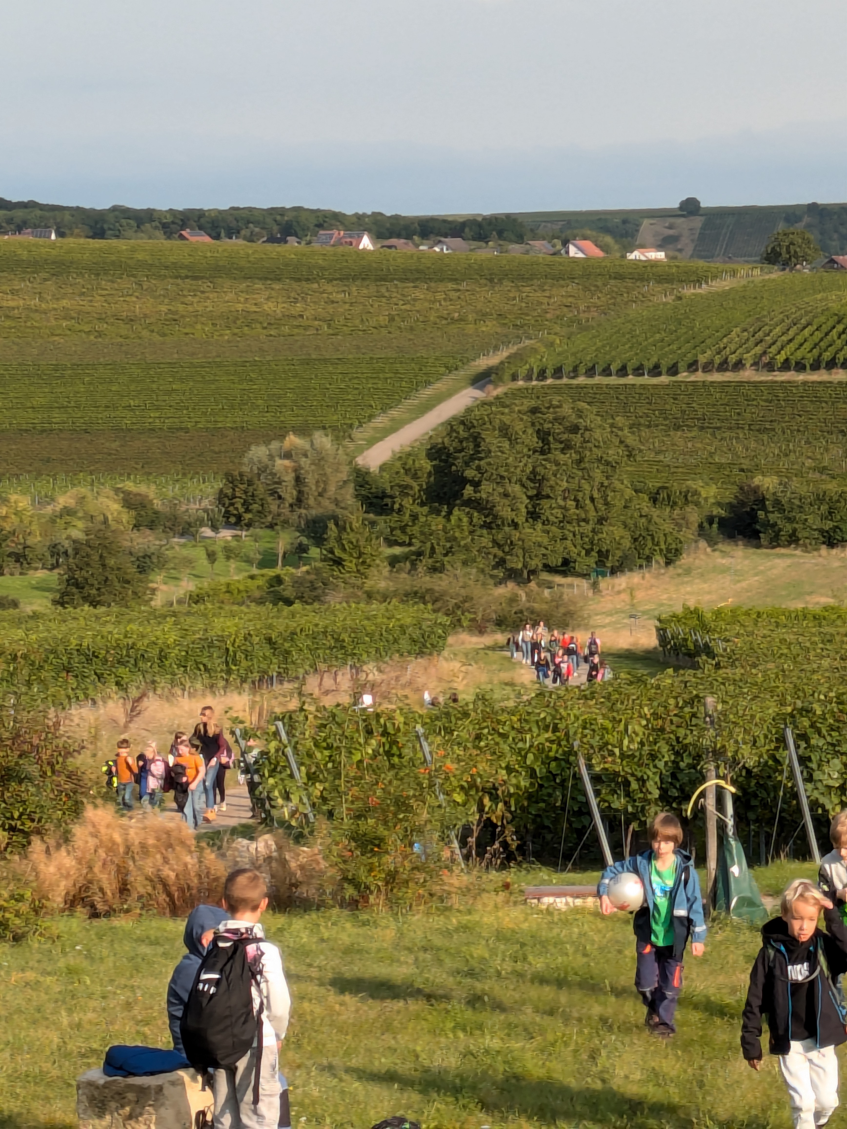 PXL_20240917_070906854.MP_