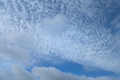 Wolke
